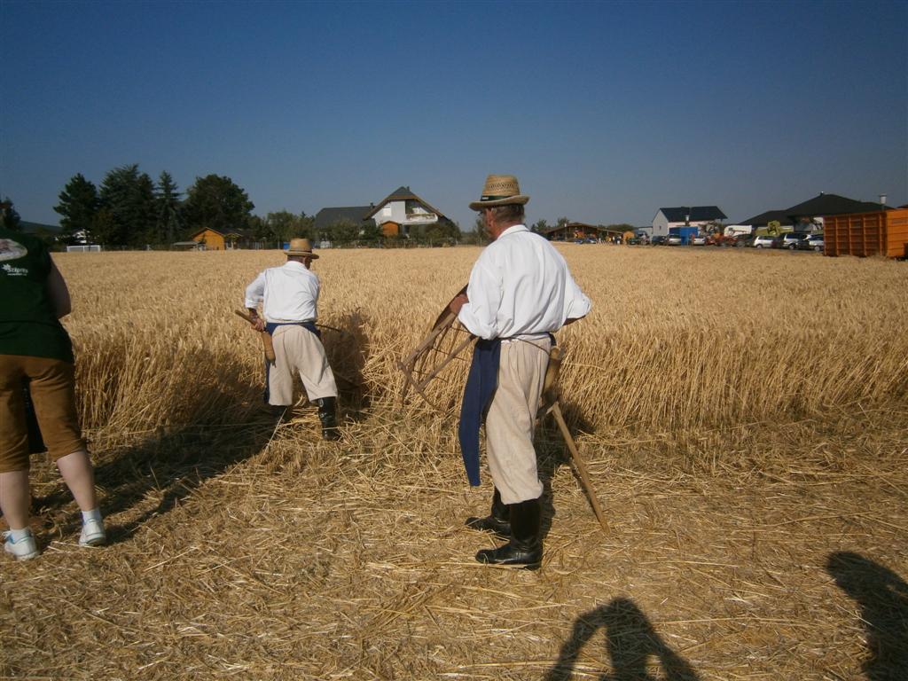 2013-08-16. bis 18. Rechnitzer Dreschkirtag